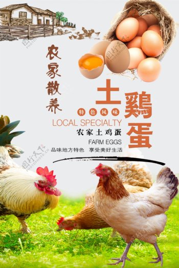农家土鸡蛋海报