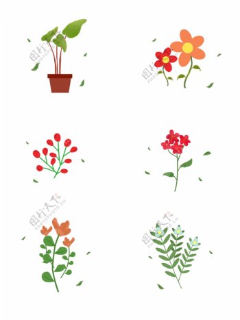 手绘插画各类植物素材
