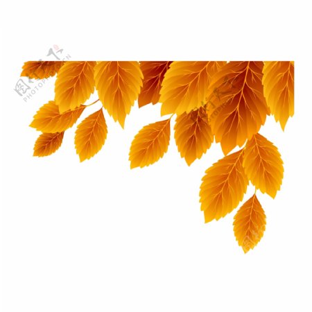 水彩秋季叶子透明装饰素材