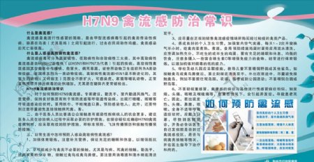 H7N9禽流感防治常识