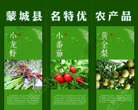 绿色水果海报