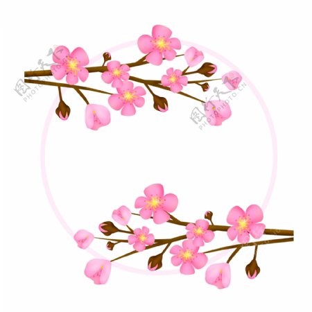 粉色唯美卡通樱花花朵圆环方形边框