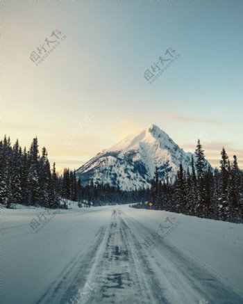 通向雪山的路