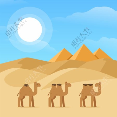 沙漠骆驼插画