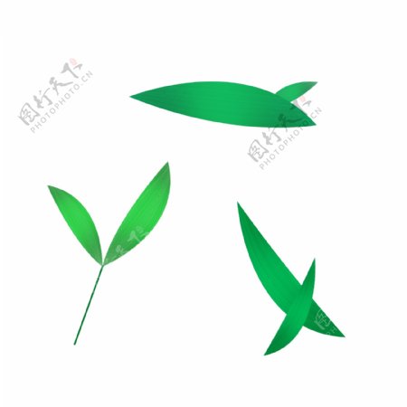 绿色竹叶竹子叶子踏青植物手绘