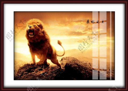 狮子天空相框装饰画