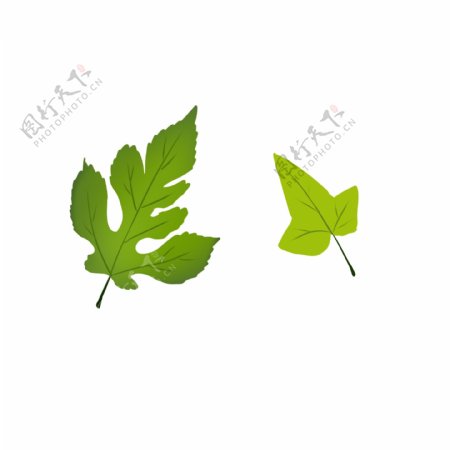 绿化树叶植树节素材