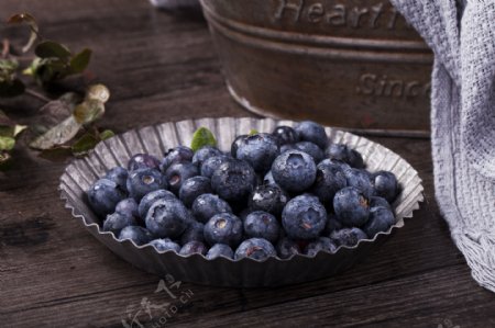 新鲜浆果蓝莓实物图摄影图4