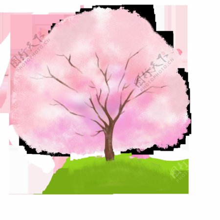 粉色唯美樱花树插图