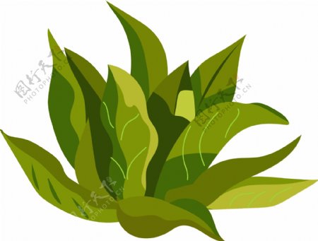 卡通绿色的植物插画