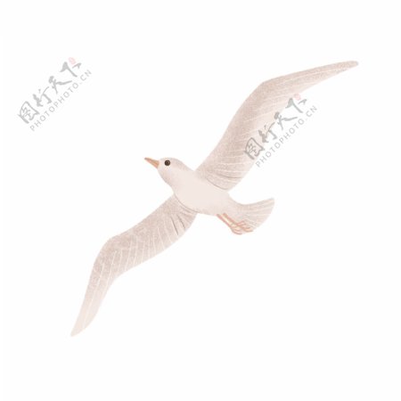 颗粒感飞翔的海鸥插画PNG图片