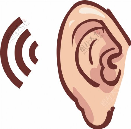 卡通人体器官人体五官耳朵结构