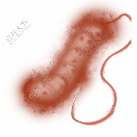棕色的绒毛细菌插画