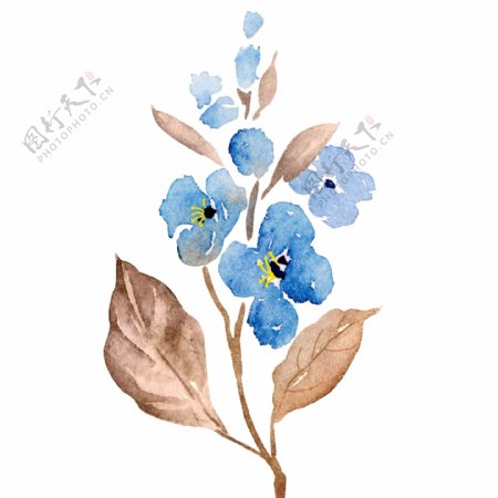 小清新水彩手绘蓝色花卉植物元素
