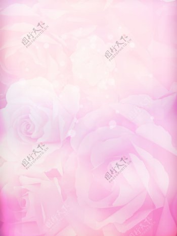清新粉色浪漫温馨玫瑰花朵背景图