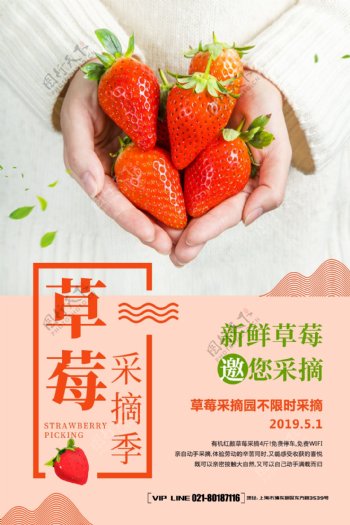 简洁草莓采摘季海报