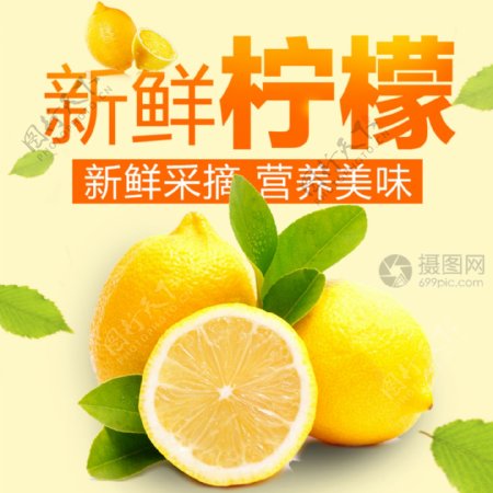 新鲜采摘柠檬水果主图