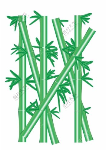 竹子图片竹叶绿色竹竿竹