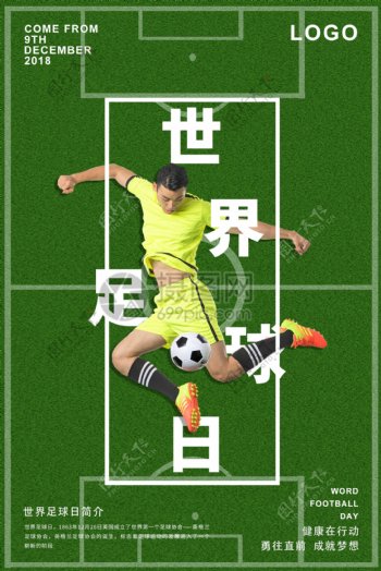 世界足球日海报