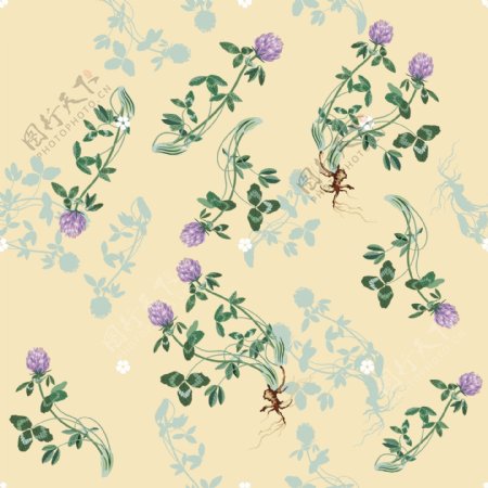 紫色小花植物图谱