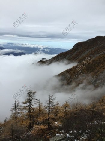 太白山云海