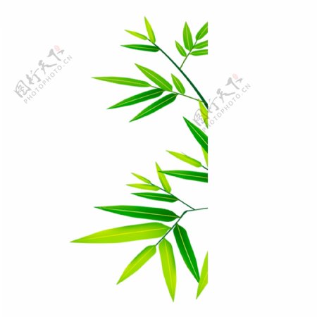 简约手绘绿色竹子透明素材