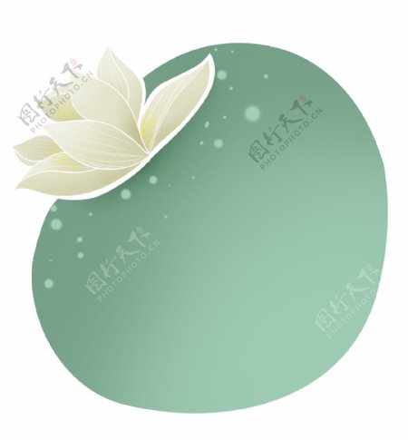 白色莲花清新标题框