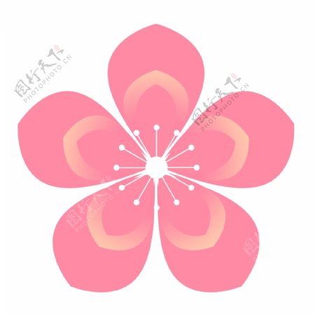 精美六瓣粉色樱花
