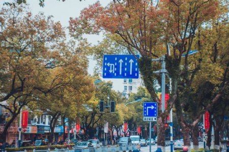 桂林城市马路街道摄影