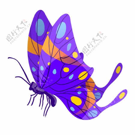 紫色的动物蝴蝶插画