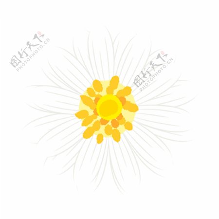 淡黄色花卉手绘png透明素材