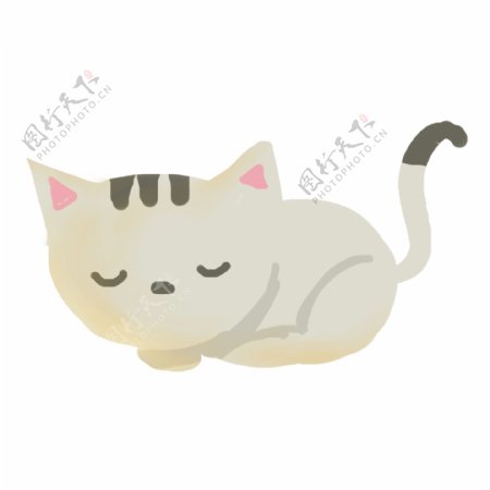 睡着的猫猫装饰图案元素