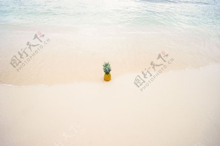 海边沙滩菠萝