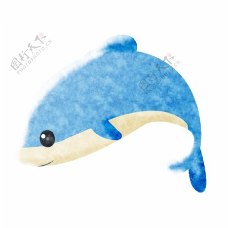 海豚蓝色动物