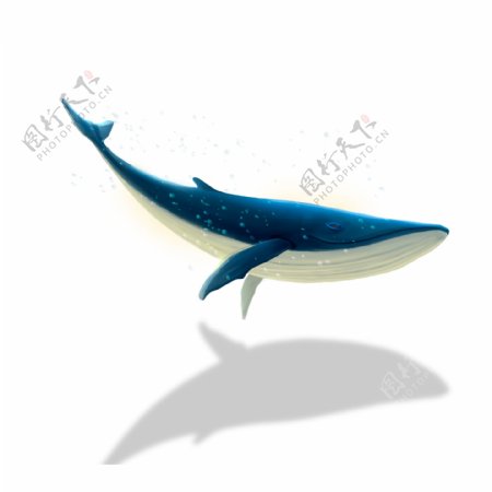 蓝色鲸鱼图案元素