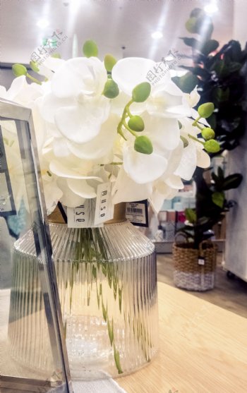 家居摆件装饰物花瓶和鲜花
