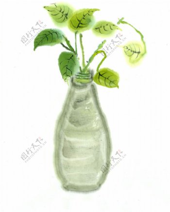瓶花绿萝