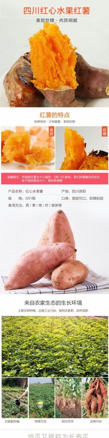 四川红心水果红薯蜜薯详情页