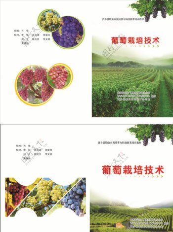葡萄栽培技术封面