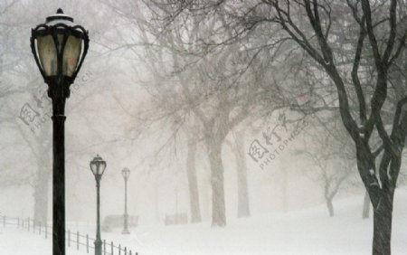 中央公园在雪中