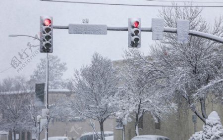 下雪的交通信号灯