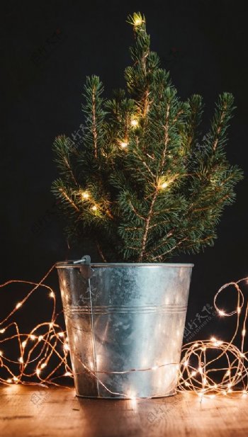 圣诞树led灯装饰