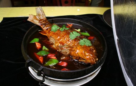 柴锅煨鲤鱼