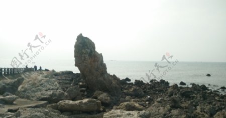 大海边的尖石