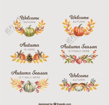6款彩绘秋季标签矢量素材