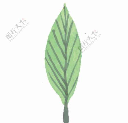 绿色水彩植物树叶