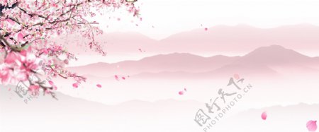樱花背景