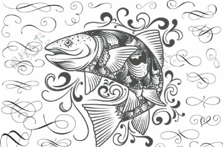 手绘素描鲤鱼