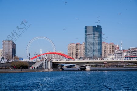 天津海河边摩天轮和桥