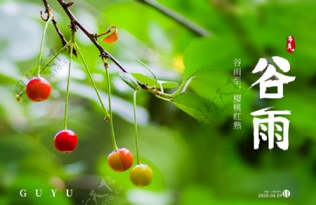谷雨海报传统节气红樱桃